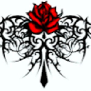 Meet your Posher, Robinrose